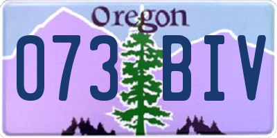 OR license plate 073BIV