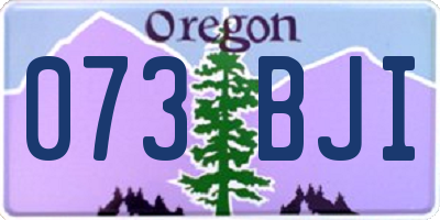 OR license plate 073BJI