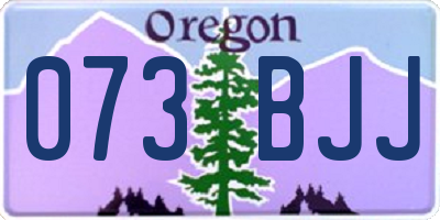 OR license plate 073BJJ