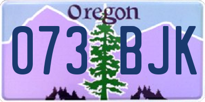 OR license plate 073BJK