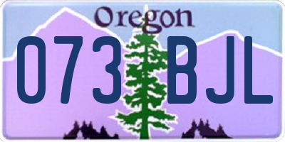 OR license plate 073BJL