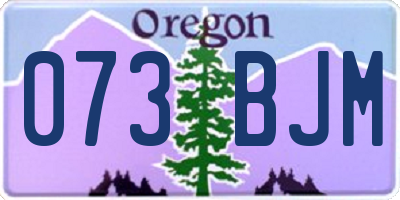 OR license plate 073BJM
