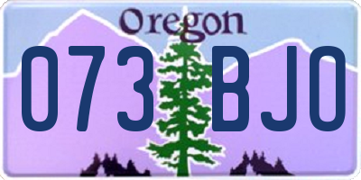 OR license plate 073BJO
