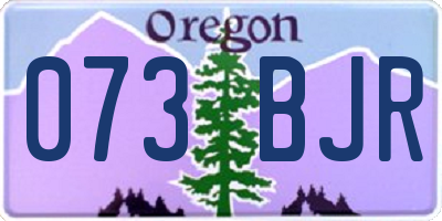 OR license plate 073BJR
