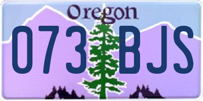 OR license plate 073BJS