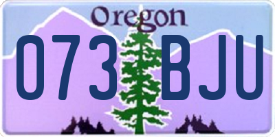 OR license plate 073BJU