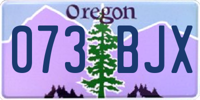 OR license plate 073BJX