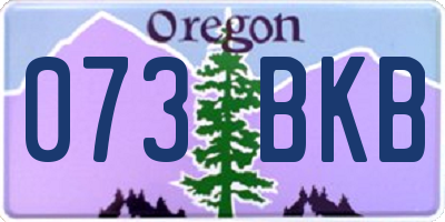 OR license plate 073BKB