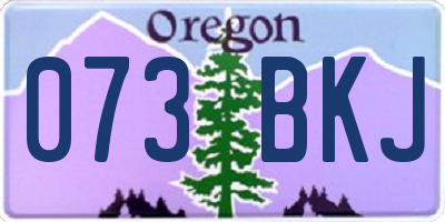 OR license plate 073BKJ