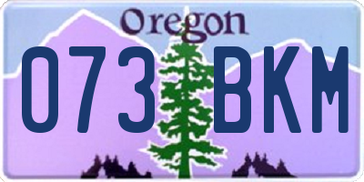 OR license plate 073BKM