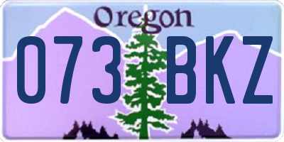 OR license plate 073BKZ