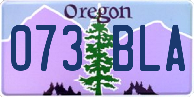 OR license plate 073BLA