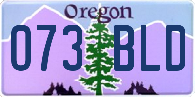 OR license plate 073BLD