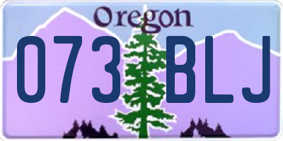 OR license plate 073BLJ