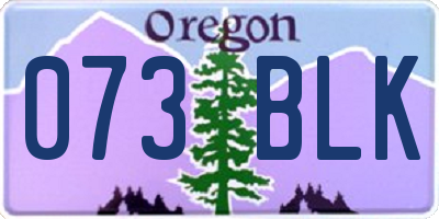 OR license plate 073BLK