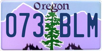 OR license plate 073BLM