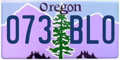 OR license plate 073BLO
