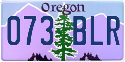 OR license plate 073BLR