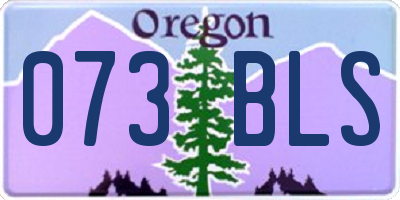 OR license plate 073BLS