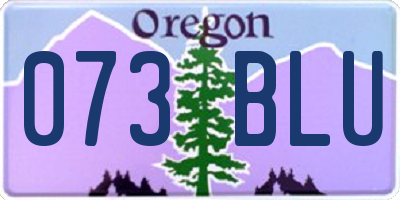 OR license plate 073BLU