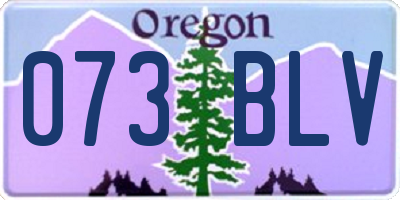 OR license plate 073BLV