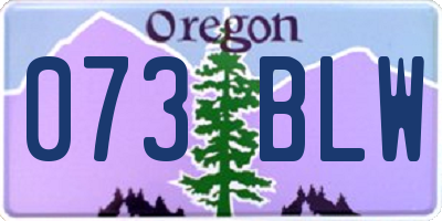 OR license plate 073BLW