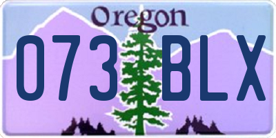 OR license plate 073BLX