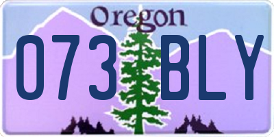 OR license plate 073BLY