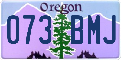 OR license plate 073BMJ