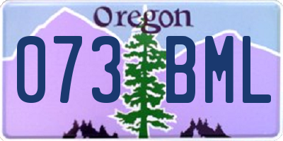 OR license plate 073BML