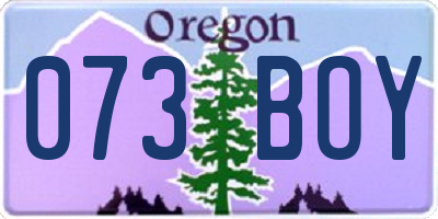 OR license plate 073BOY