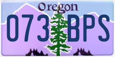 OR license plate 073BPS