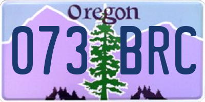 OR license plate 073BRC