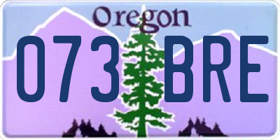 OR license plate 073BRE