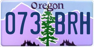 OR license plate 073BRH