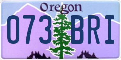 OR license plate 073BRI