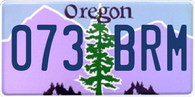 OR license plate 073BRM