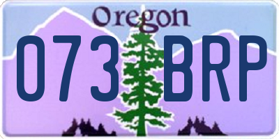 OR license plate 073BRP