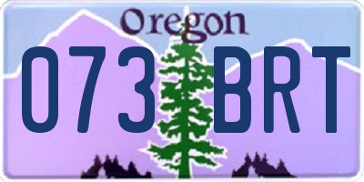 OR license plate 073BRT