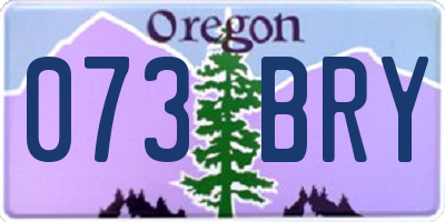 OR license plate 073BRY