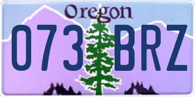 OR license plate 073BRZ