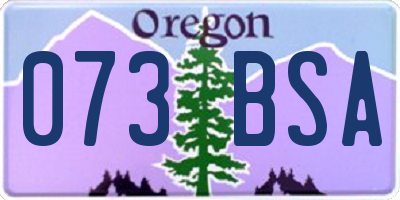 OR license plate 073BSA
