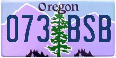 OR license plate 073BSB