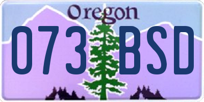 OR license plate 073BSD