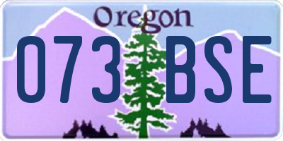 OR license plate 073BSE