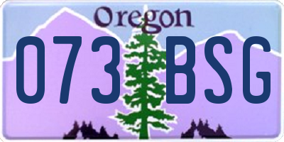 OR license plate 073BSG