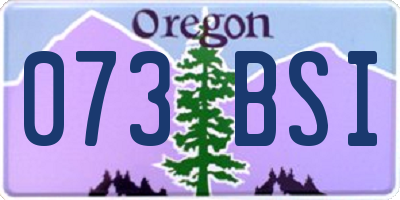 OR license plate 073BSI