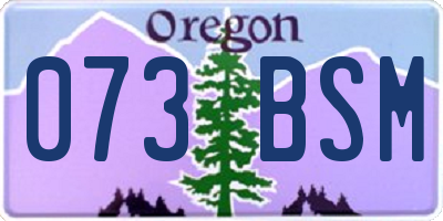 OR license plate 073BSM