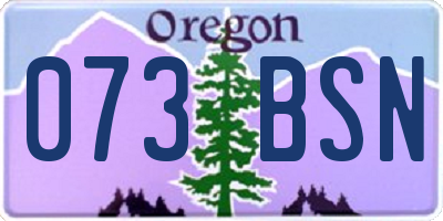 OR license plate 073BSN