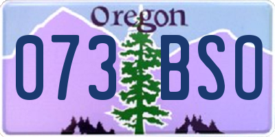 OR license plate 073BSO
